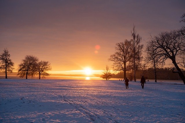 Diamond Cutter Wisdom