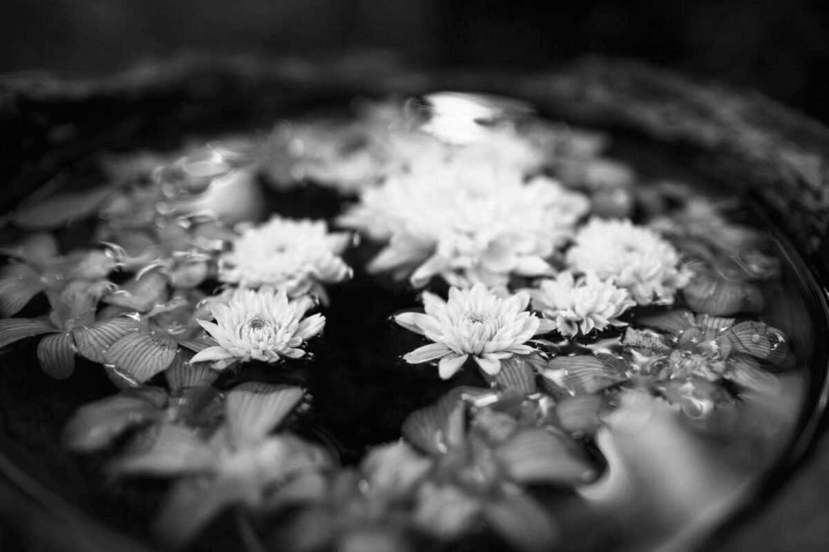 Diamond Cutter Wisdom