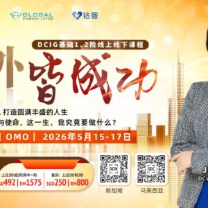 （Qing Dao 青岛）OMO – DCIG 第1&2阶线下工作坊 | DCIG Level 1&2 Offline Workshop