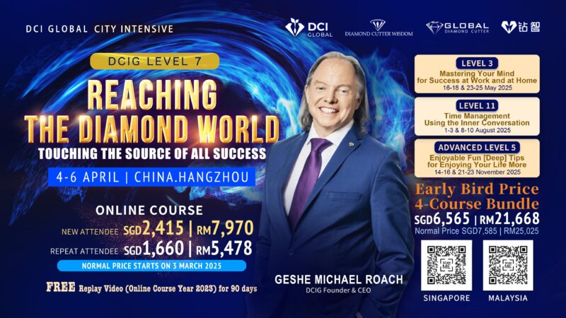 DCI GLOBAL CITY INTENSIVE (BUNDLE)  城市密集 (配套） - Image 3