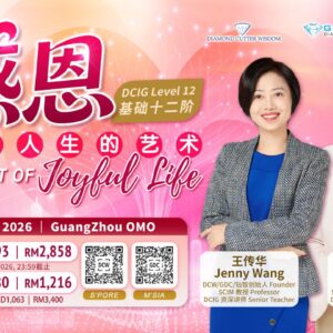 DCIG Level 12 - The Art of Joyful Life